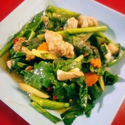 ผัดคะน้าน้ำมันหอย (กับข้าว)