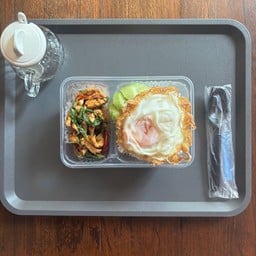 ข้าวกะเพราไก่