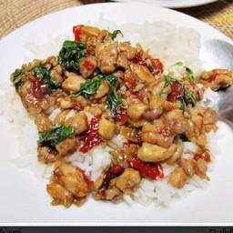 ผัดกระเพราไก่ราดข้าว