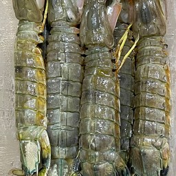 กั้งไข่เพิ่มในส้มตำ