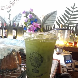 เพียวมัทฉะ