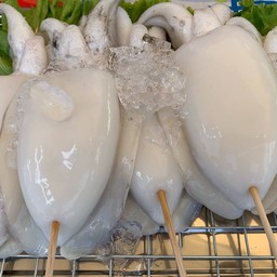 หมึกกระดอง