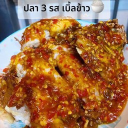ปลาเก๋าราดพริก+ราดข้าว