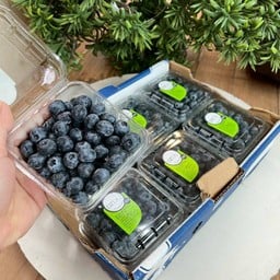 บลูเบอรี่ เปรู (ขอบดำ) ไซส์ XL