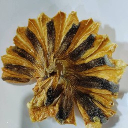 ปลาวงทอด