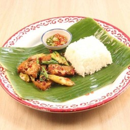 ข้าวคะน้าหมูกรอบ