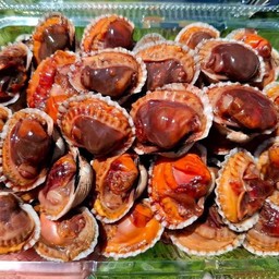 หอยแครงสด ครึ่งกิโล