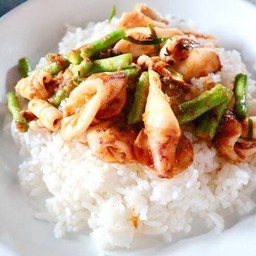 ผัดพริกแกงปลาหมึกราดข้าว