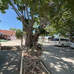วัดสระบัว