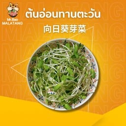 ต้นอ่อนทานตะวัน 向日葵芽菜