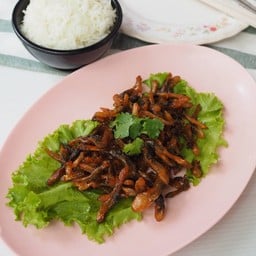 หอยหลอดทอด