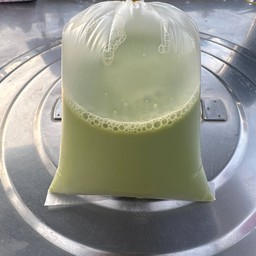 น้ำเต้าหู้ชาเขียวร้อน