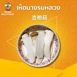 เห็ดนางรมหลวง 杏鲍菇