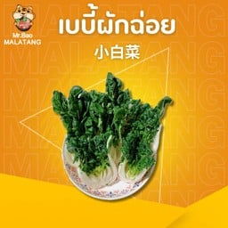 เบบี้ผักฉ่อย 小白菜