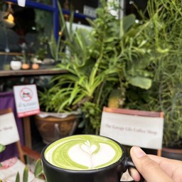 Matcha latte hot