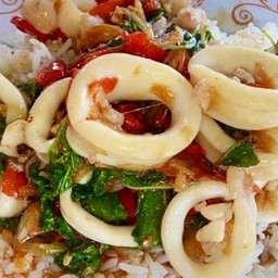 กระเพราปลาหมึกราดข้าว