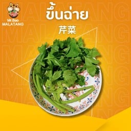 ขึ้นฉ่าย 芹菜