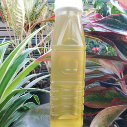 ส้มตำเจ๊พร