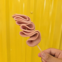 โบโลน่า