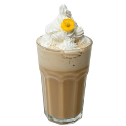 G1 Coffee Frappe 
