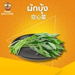 ผักบุ้ง 空心菜