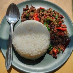 อาหารตามสั่ง ห้องครัวคุณนินิว บางเขนซิตี้ แมนชั่น