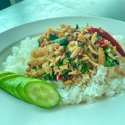 กระเพราปู