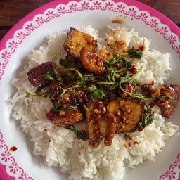 กะเพราหมูกรอบ