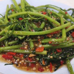 ผักบุ้งไฟแดง