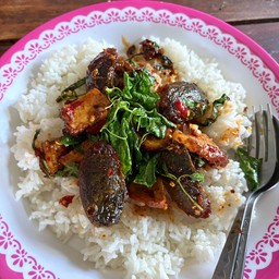 กะเพราะไข่เยี่ยม้า