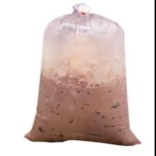 ไมโลเย็น