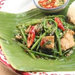 ผักกูดผัดน้ำมันหอยหมูกรอบ (กับข้าว)