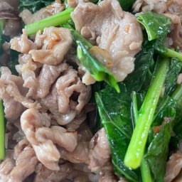 ผัดคะน้า