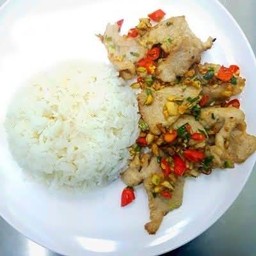 ผัดพริกเกลือ