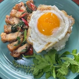 พรยมล หมูกรอบ &อาหารตามสั่ง