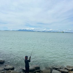 Green Hall Viewingspot