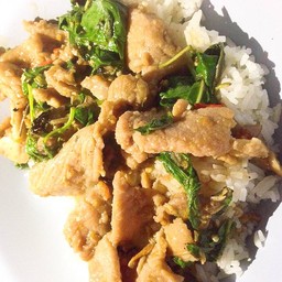 กระเพราหมูราดข้าว