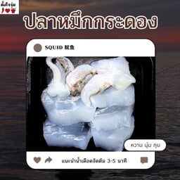 ปลาหมึกกระดอง