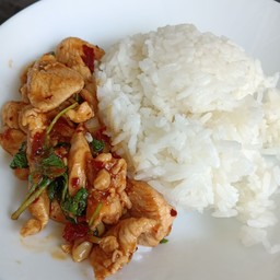 ข้าวราดกะเพราพริกแห้งไก่