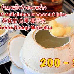 รังนกมะพร้าวอ่อน