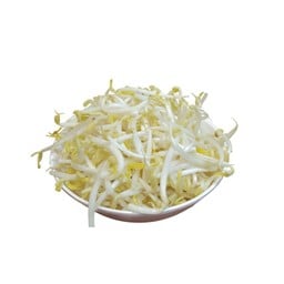 ถั่วงอก