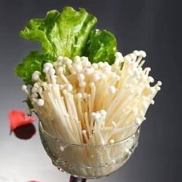 (13)เห็ดเข็มทอง