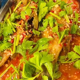 ปลาเก๋าราดพริก