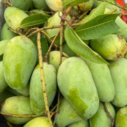 มะม่วงแก้วขมิ้น 1 กิโลกรัม