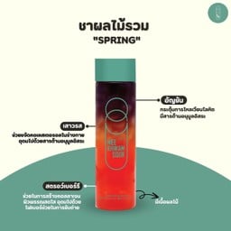Q10-สปริง-ชาผลไม้รวม