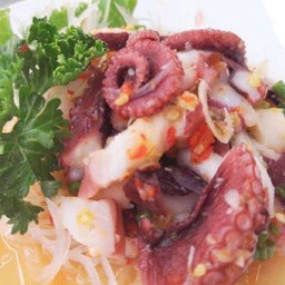 ยำแซ่บหมึกทาโกะ