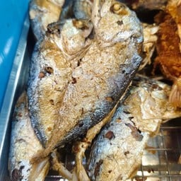 ปลาทูตัวเล็ก