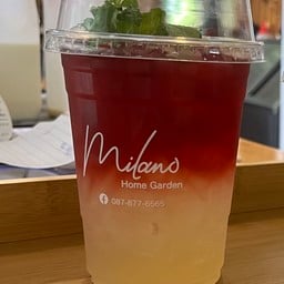 Iced Rose tea Honey Lemon