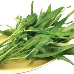 ผักบุ้ง | Morning Glory