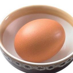 ไข่ไก่ | Chicken Egg